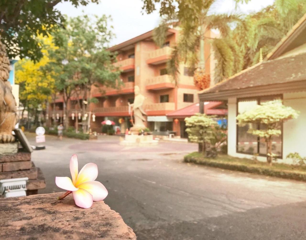 Nim Chiang Mai